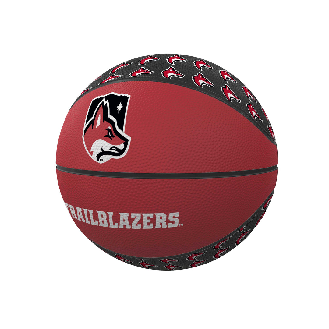 Mini Basketball |