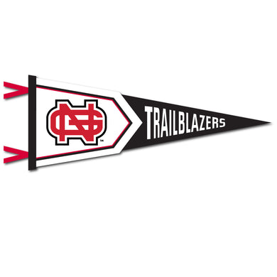 12 X 32 Two-Piece Flock Plus Pennant | Red