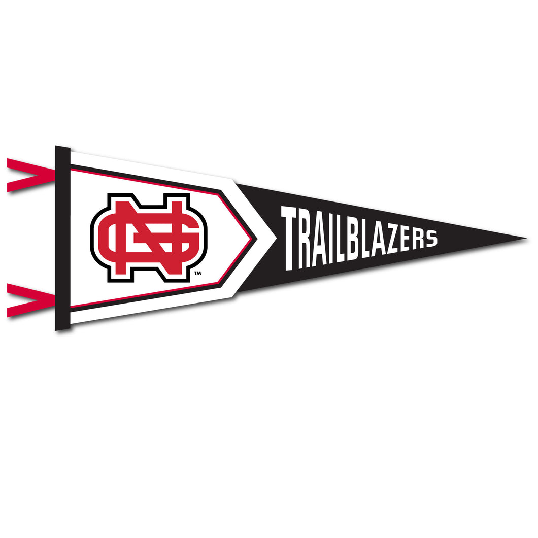 12 X 32 Two-Piece Flock Plus Pennant | Red