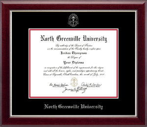 Embossed Gallery Diploma Frame, Gold